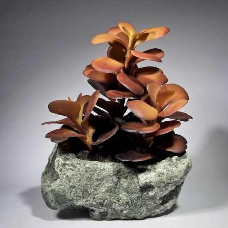 Artificial Bonsai 6.0